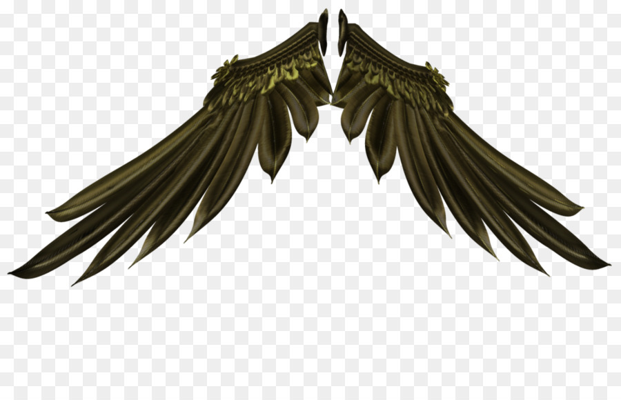 Ailes D'ange，Plumes PNG