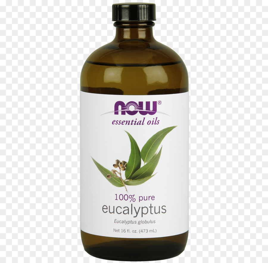 L Huile D Eucalyptus，En Tasmanie La Gomme Bleue PNG