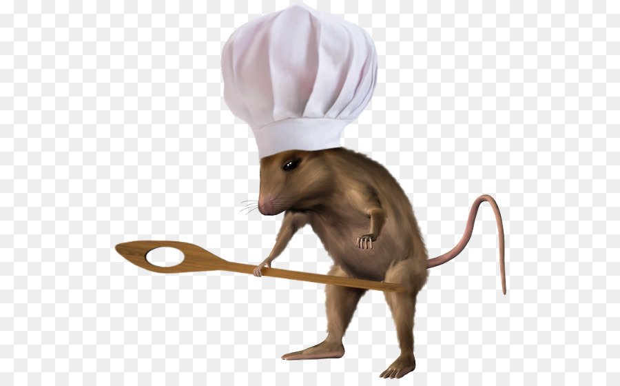 Souris，Museau PNG