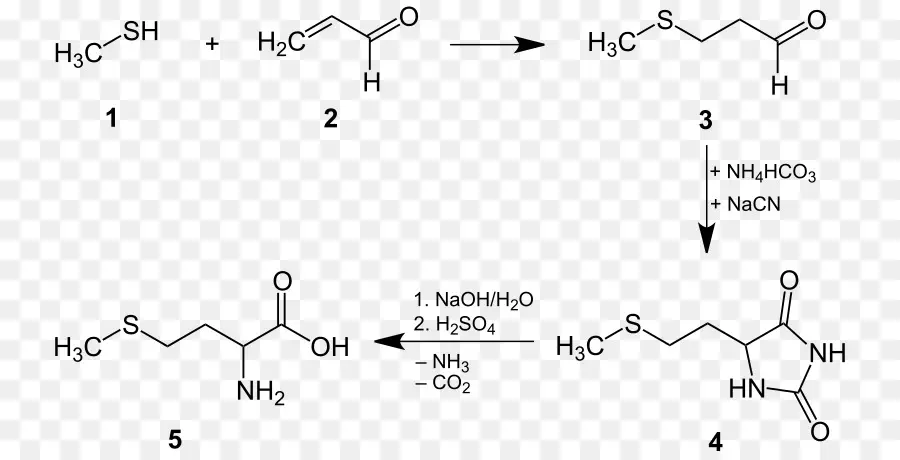 Structure Chimique，Molécule PNG