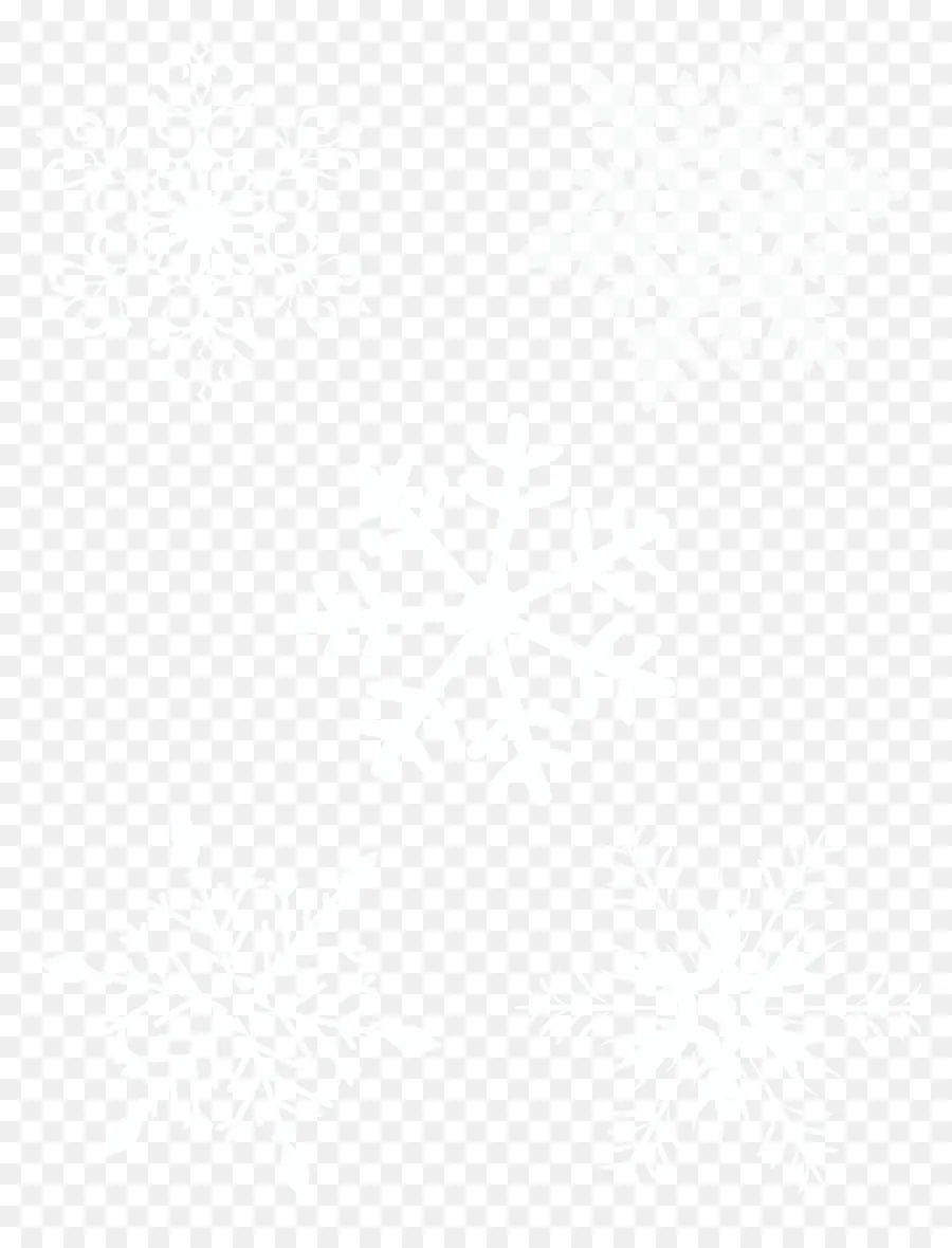 Flocon De Neige，Blanc PNG