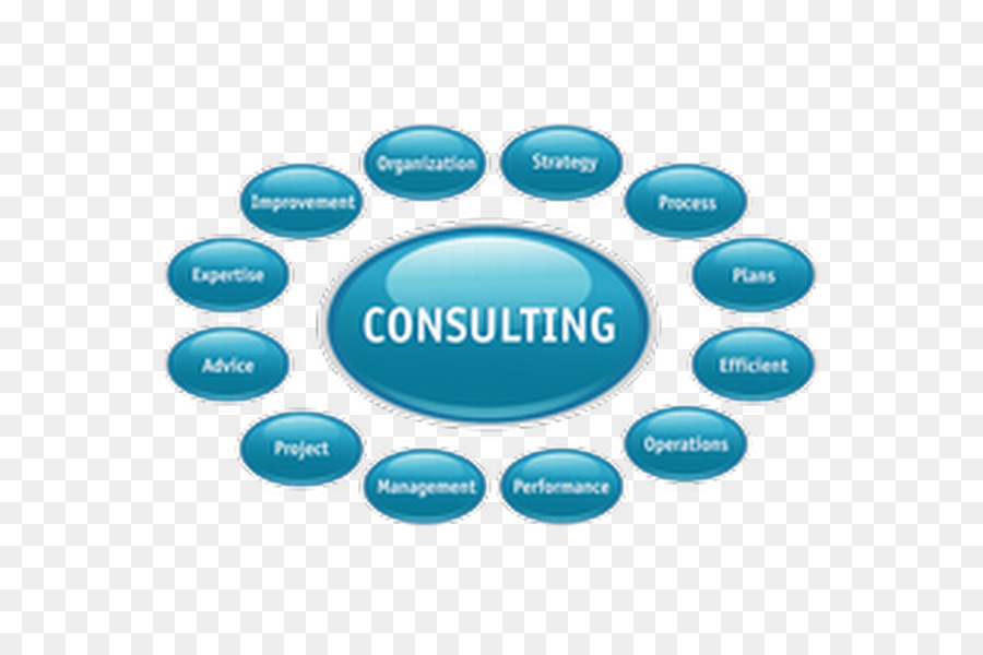 Consultant，Conseil En Gestion De PNG