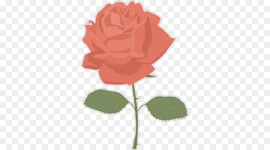 Roses，Floraison PNG