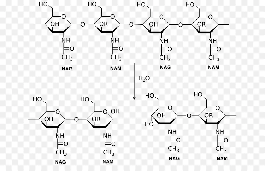 Réaction Chimique，Chimie PNG