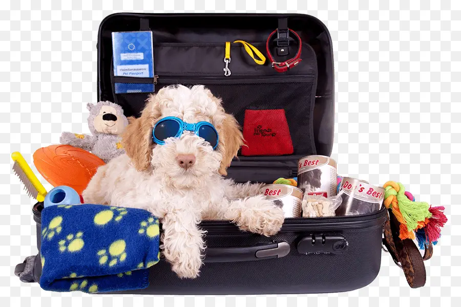 Chien Dans Une Valise，Voyage PNG