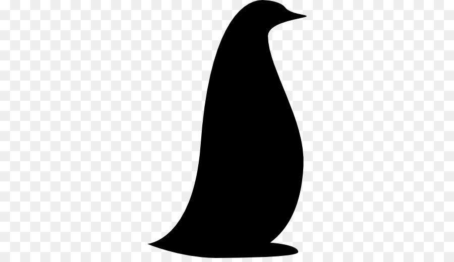 Pingouin，Animal PNG