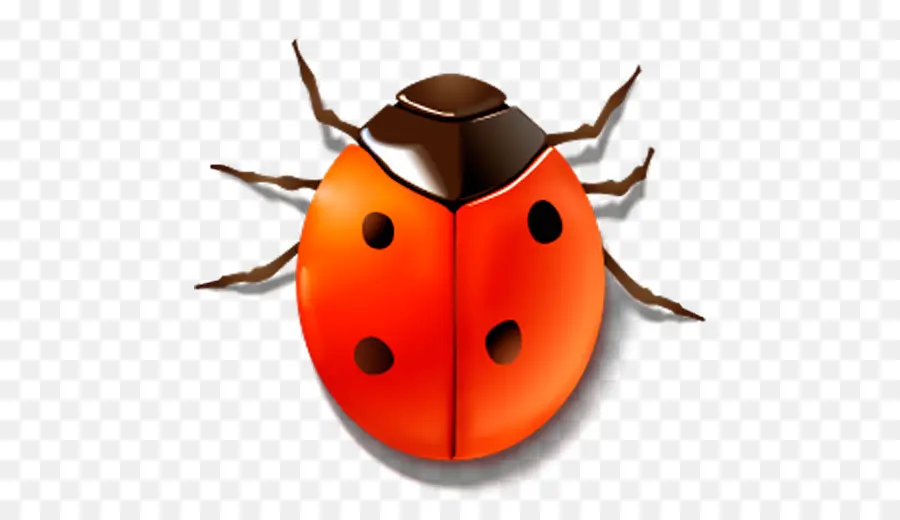 Coccinelle，Bogue PNG