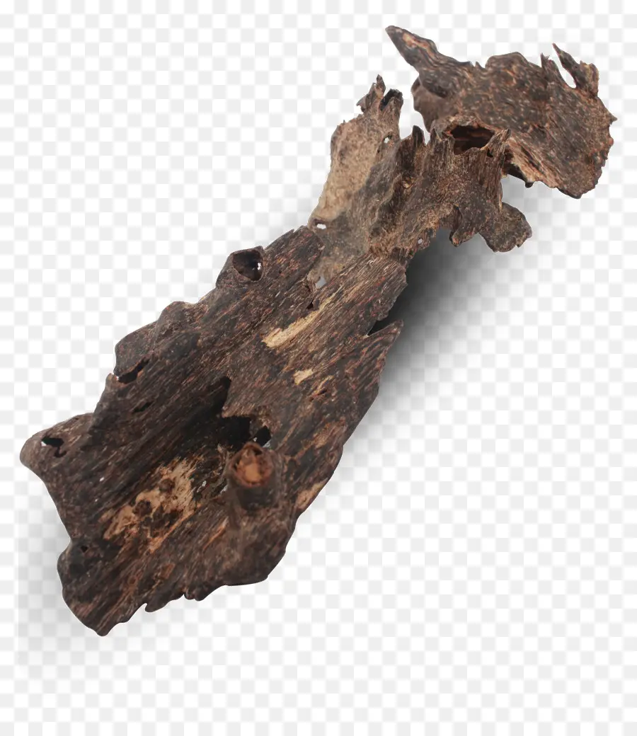 Écorce De Bois，Arbre PNG