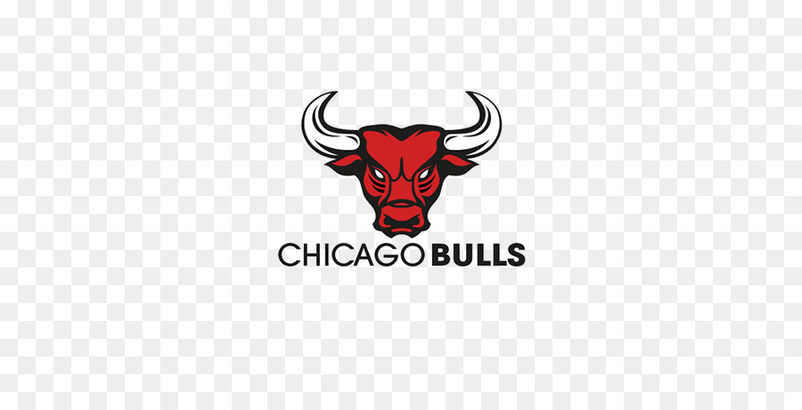 Logo Des Bulls De Chicago，Basket Ball PNG