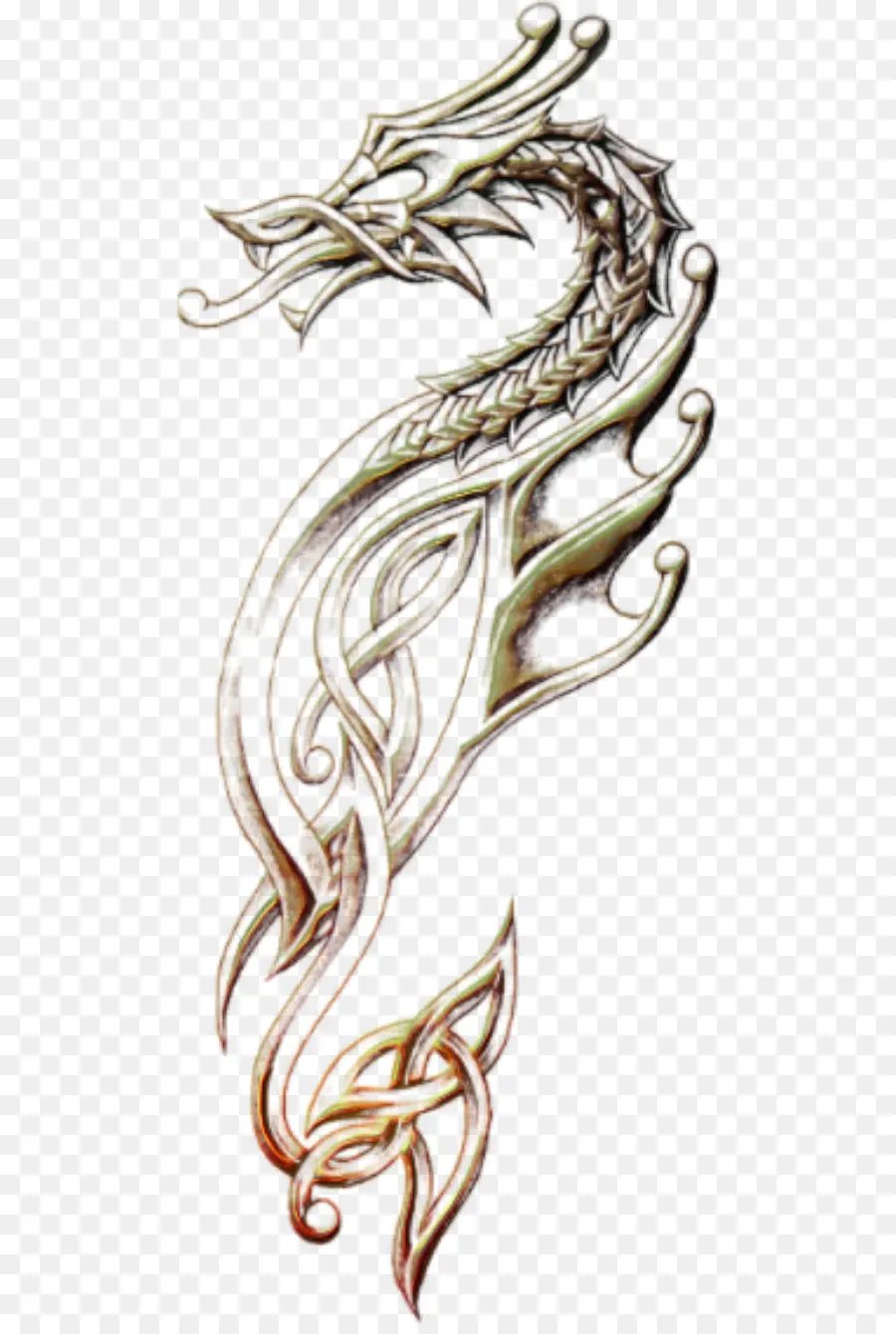 Tatouage De Dragon，Dragon PNG