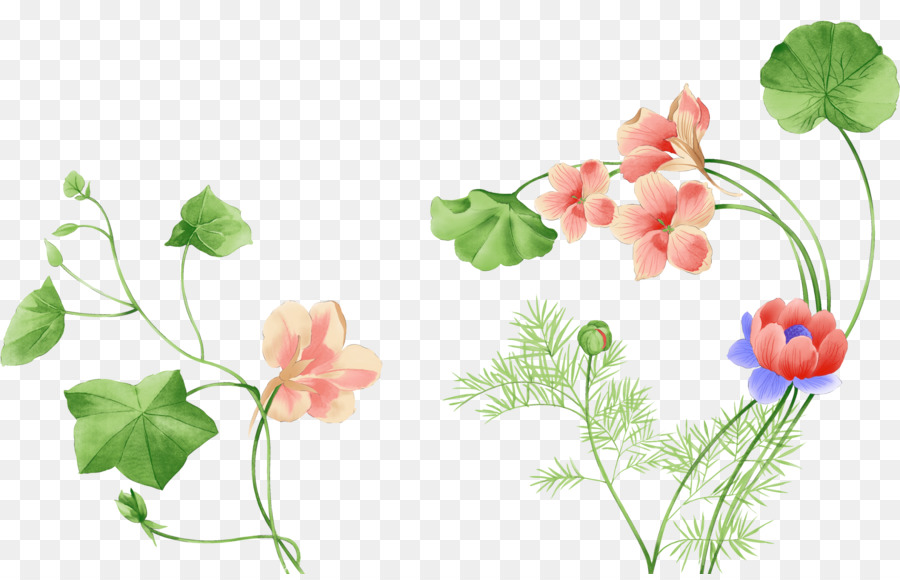 Conception Florale，Fleurs PNG