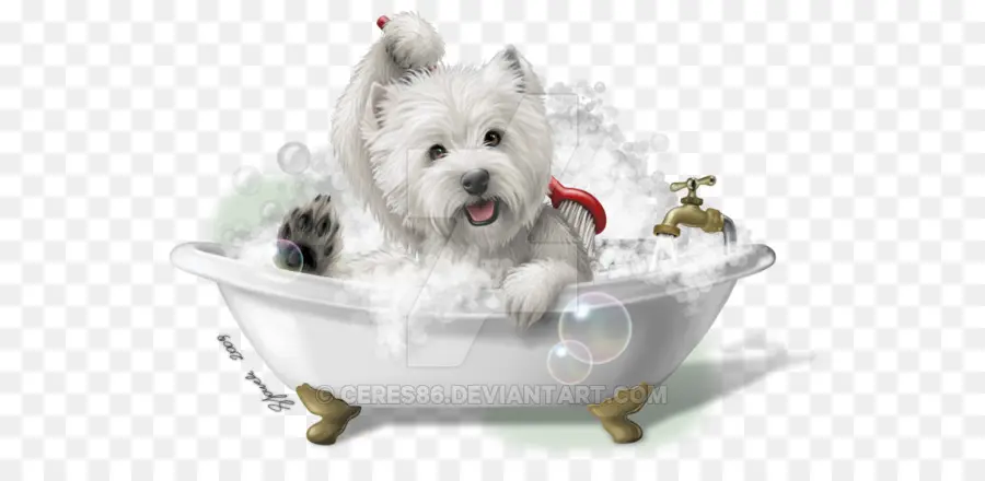 Chien Blanc Dans La Baignoire，Baignoire PNG