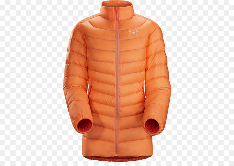 Veste，Capuche PNG