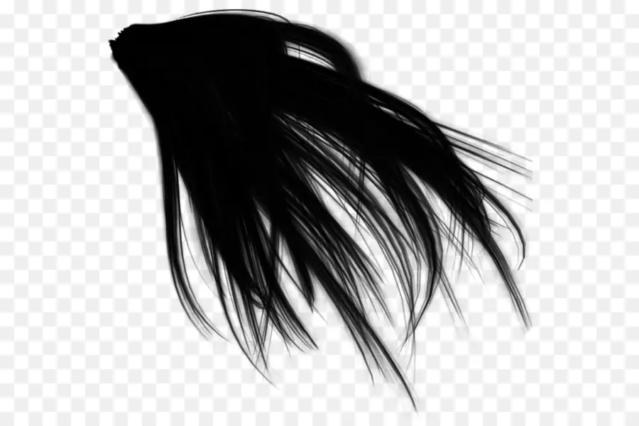 Cheveux Noirs，Long PNG