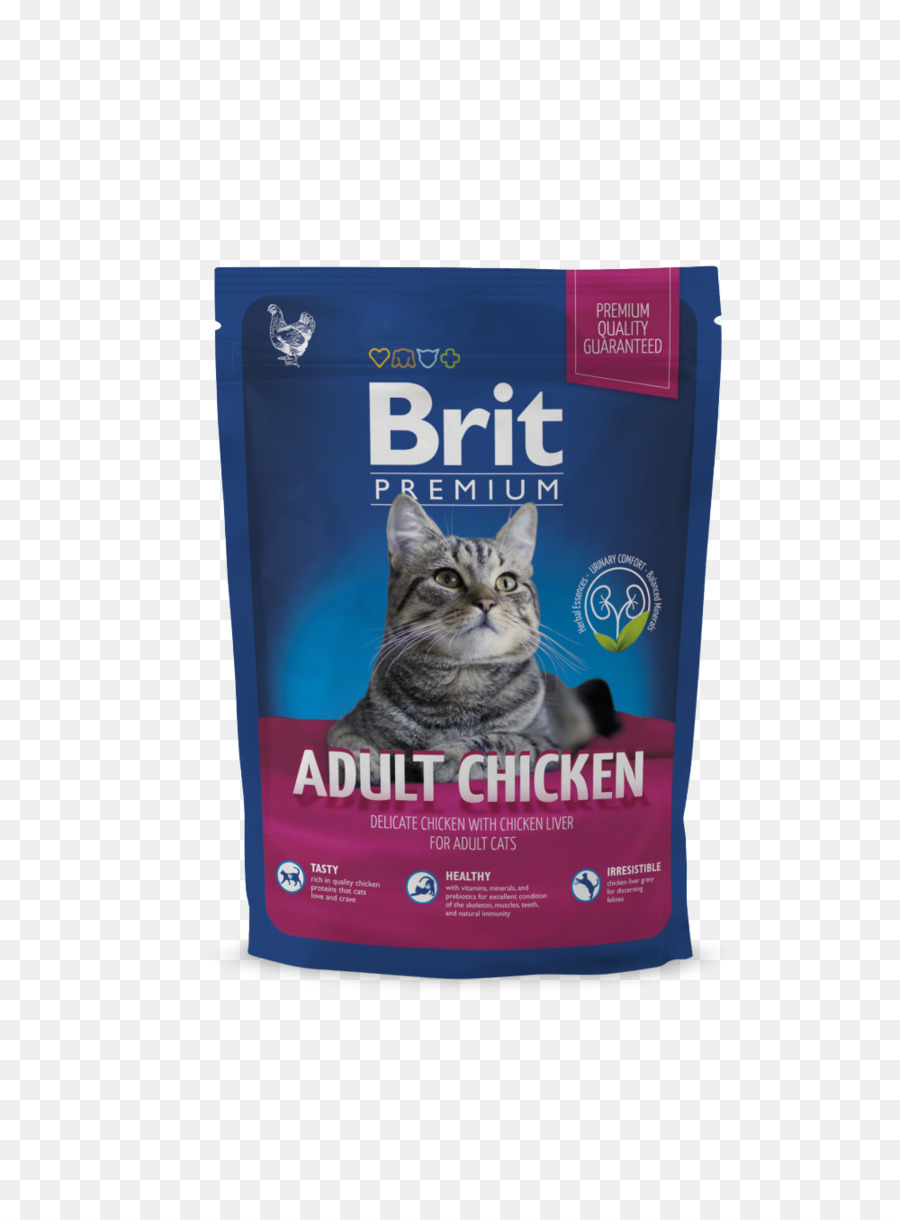 Chat，Poulet PNG
