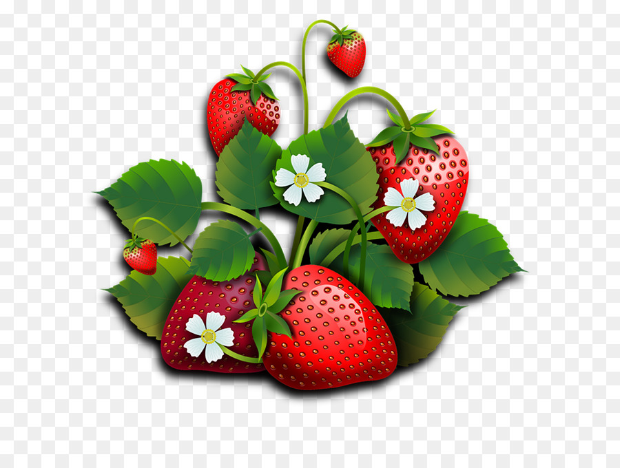 Fraises，Feuilles PNG