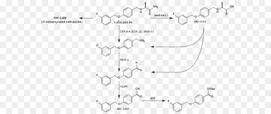 Safinamide，Le Cytochrome P450 PNG