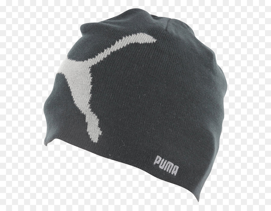 Beanie，Cougar PNG