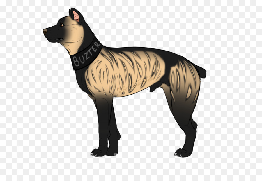 Chien，Animal De Compagnie PNG