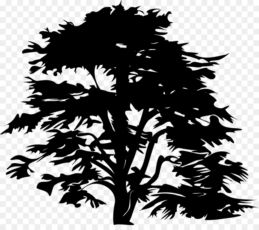 Silhouette De Plante，Feuilles PNG