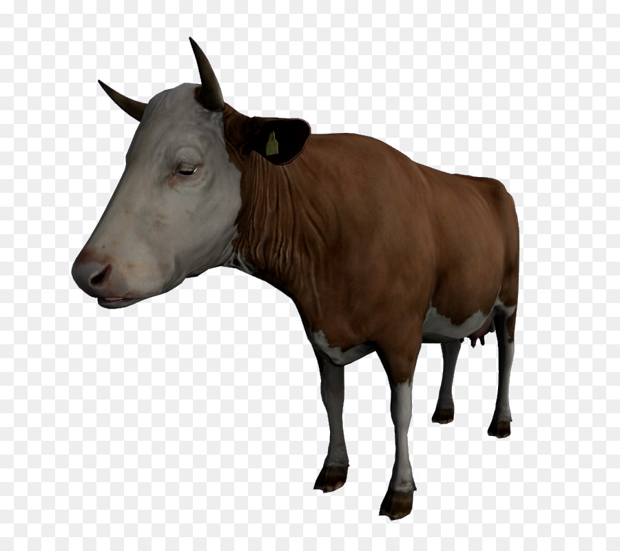 Vache，Bétail PNG