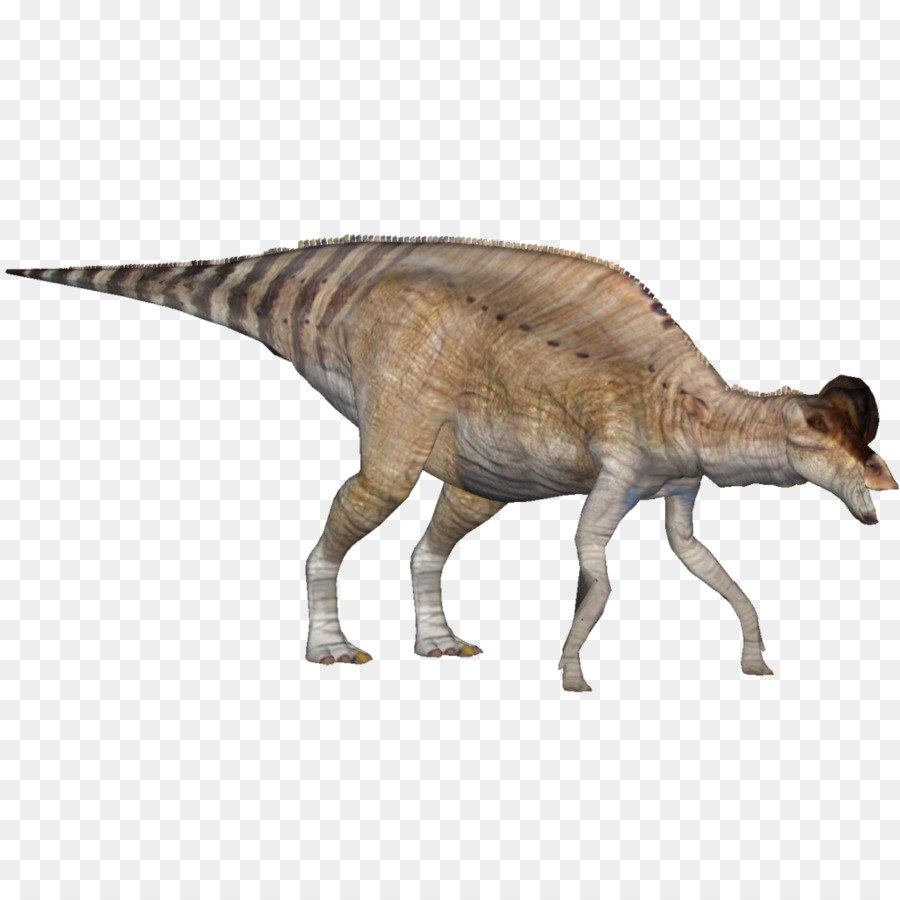 Dinosaure à Long Cou，Préhistorique PNG