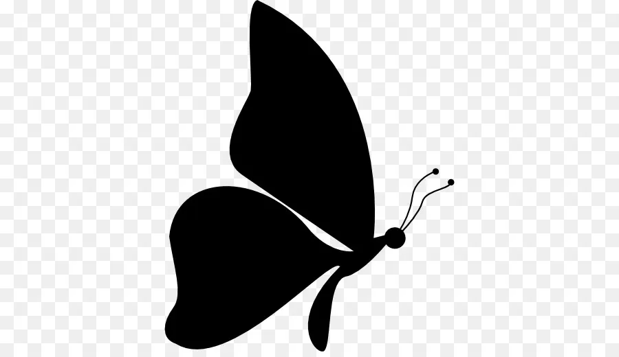 Papillon，Silhouette PNG