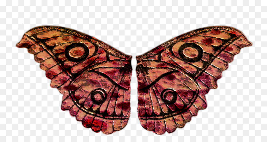 Papillon，Photoscape PNG