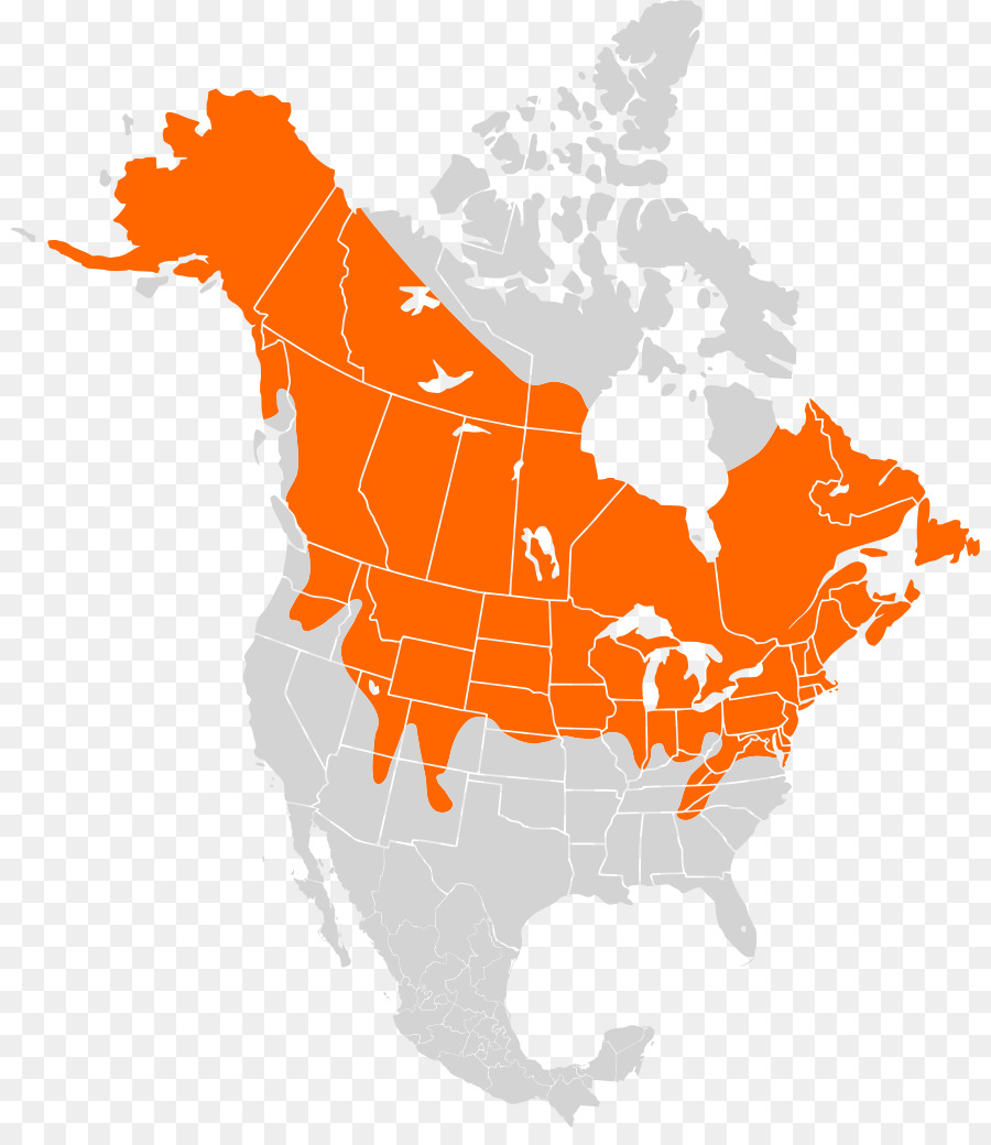 Carte De L'amérique Du Nord，Canada PNG