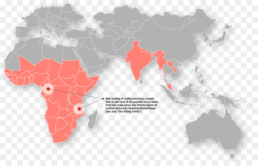 Carte Du Monde，Régions PNG