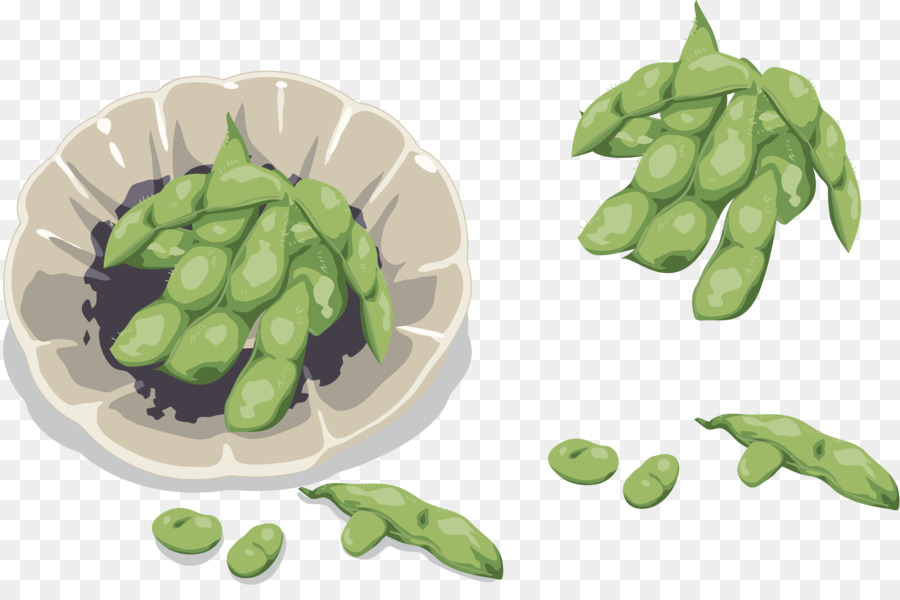 Edamame，Cuisine Végétarienne PNG