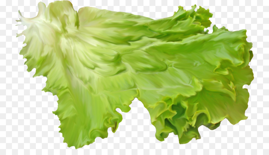 rouge des feuilles de laitue laitue romaine feuille png rouge des feuilles de laitue laitue romaine feuille transparentes png gratuit laitue laitue romaine feuille png