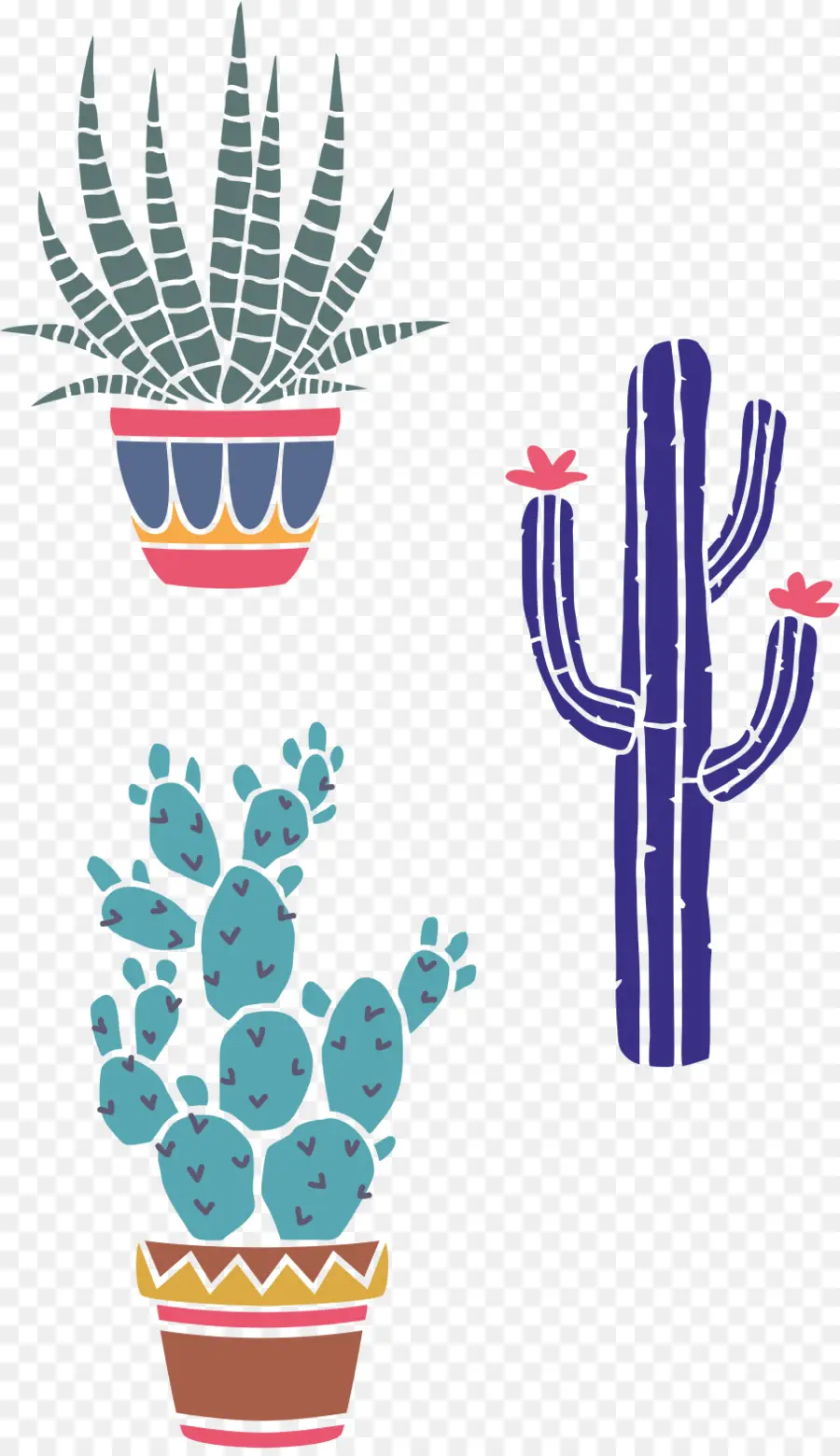 Cactus Et Plantes Succulentes，Mis En Pot PNG