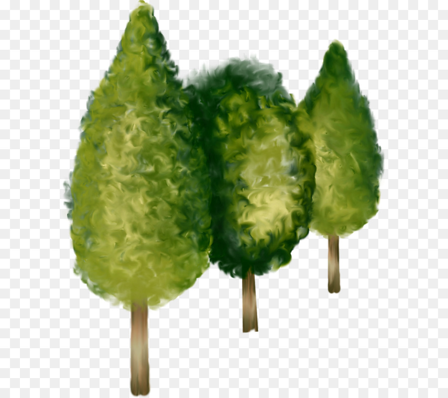 Arbres Jaunes，Feuilles PNG