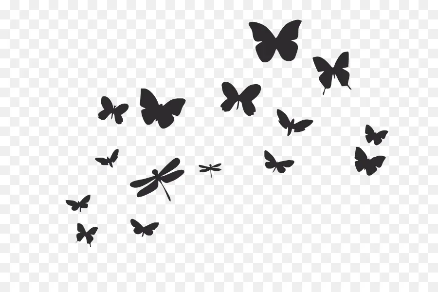 Papillons，Insecte PNG