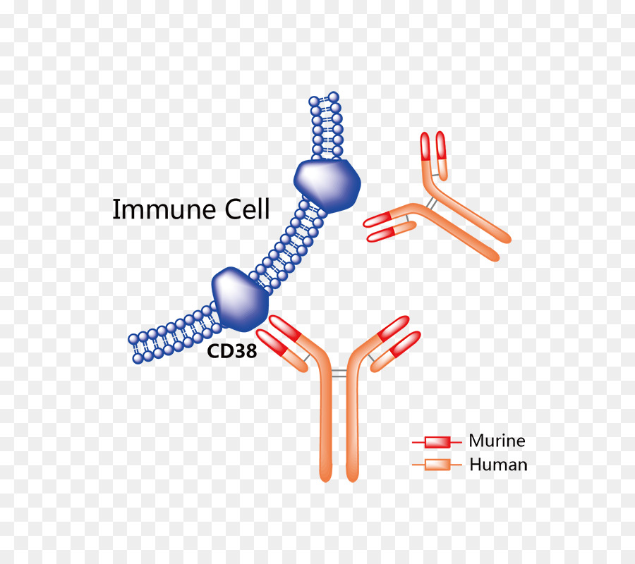 Le Trastuzumab Emtansine，Pharmaceutiques PNG