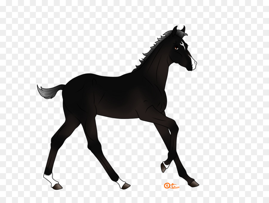 Mustang，Poney PNG