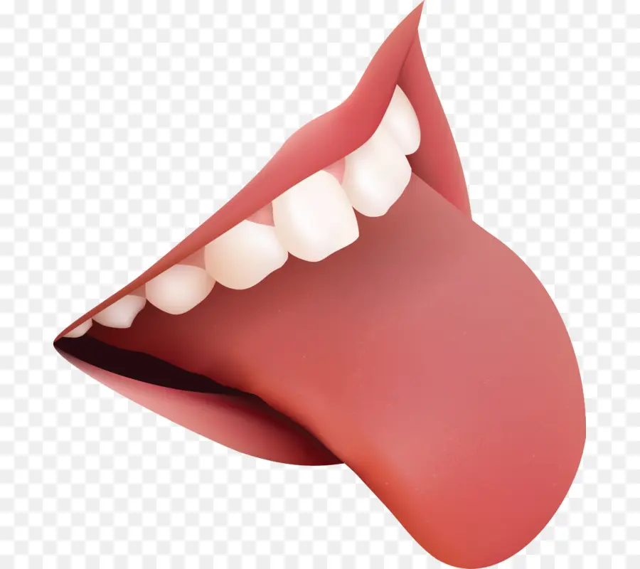 Bouche，Langue PNG