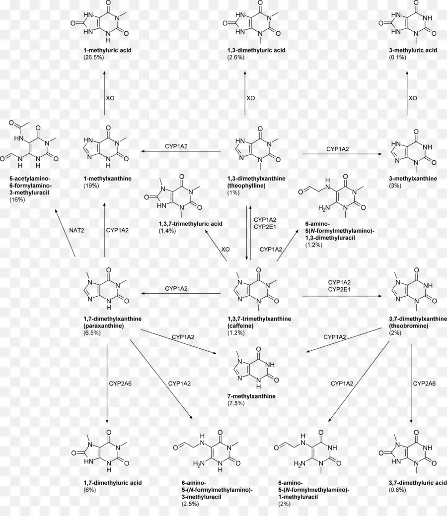 Structure Chimique，Molécule PNG