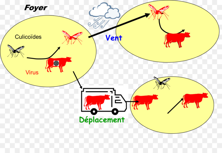 Les Moutons，Les Bovins PNG