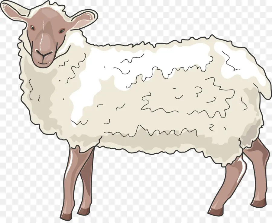 Mouton，Laine PNG