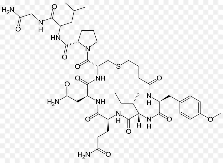 Structure Chimique，Molécule PNG