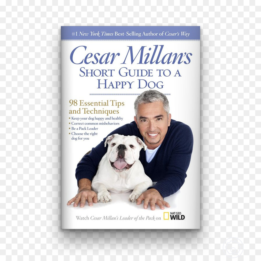 Cesar Millan，Dog Whisperer Avec Cesar Millan PNG