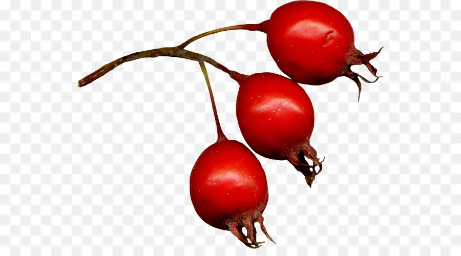 Fruits Rouges，Bifurquer PNG