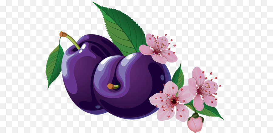 Prune，Violet PNG