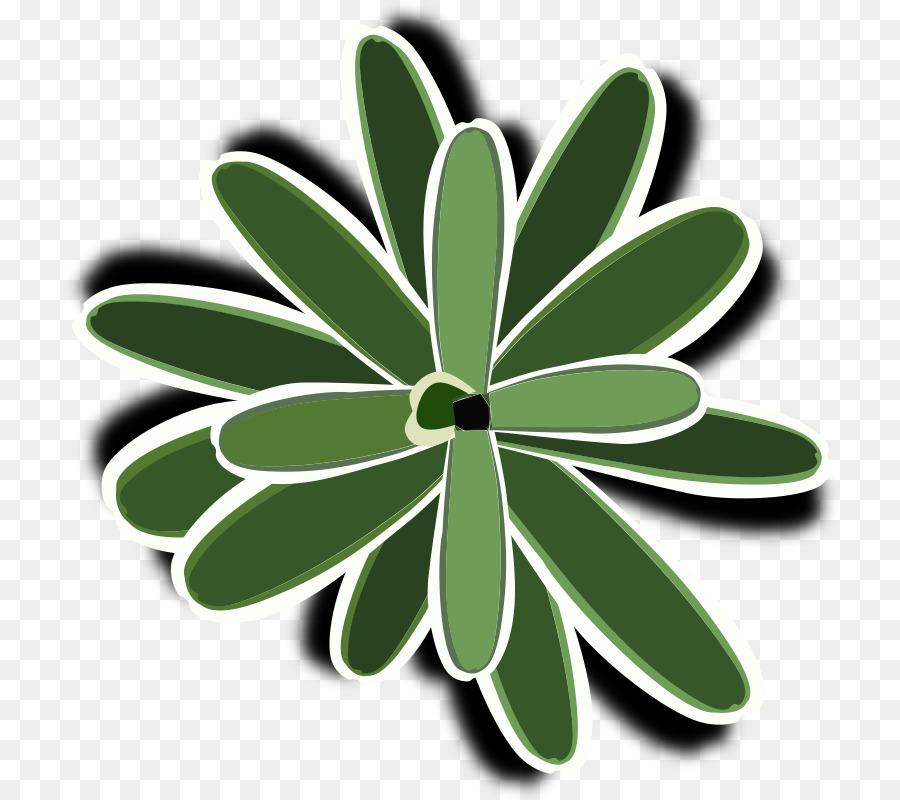 Feuilles，Vert PNG