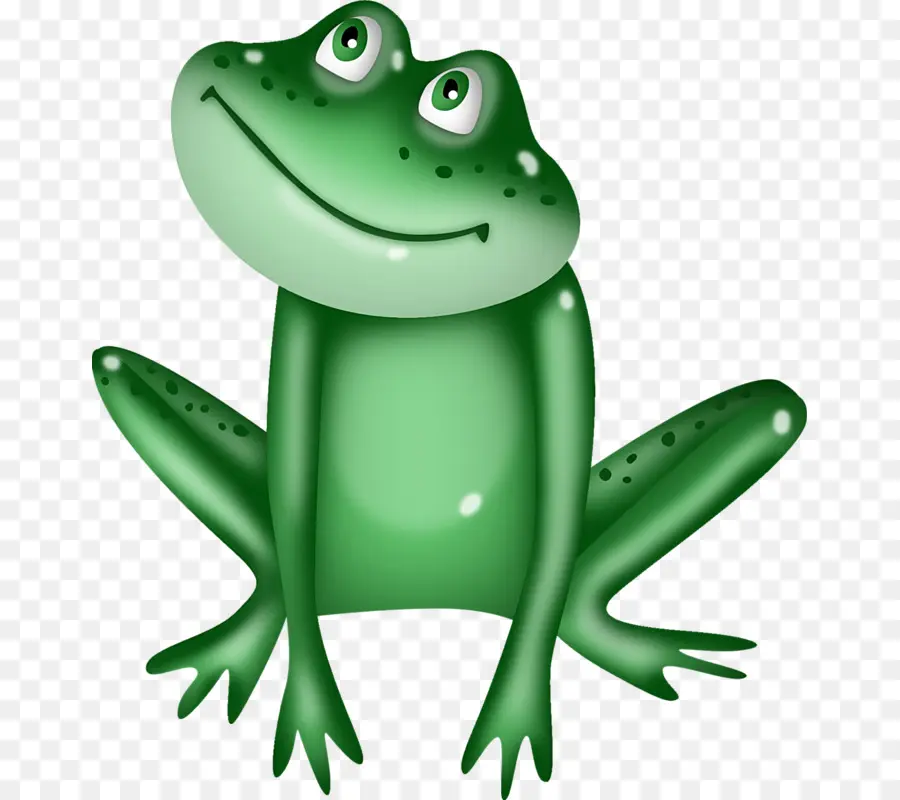 Grenouille Verte，Amphibie PNG