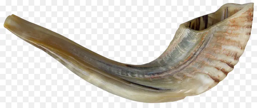 Shofar，Corne PNG