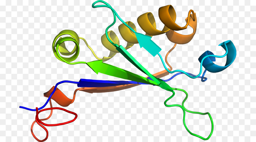 Hélice Protéique，Molécule PNG