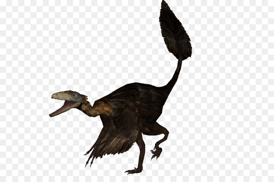 Les Anatidés，Velociraptor PNG